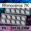 Rhinocéros 7K 07